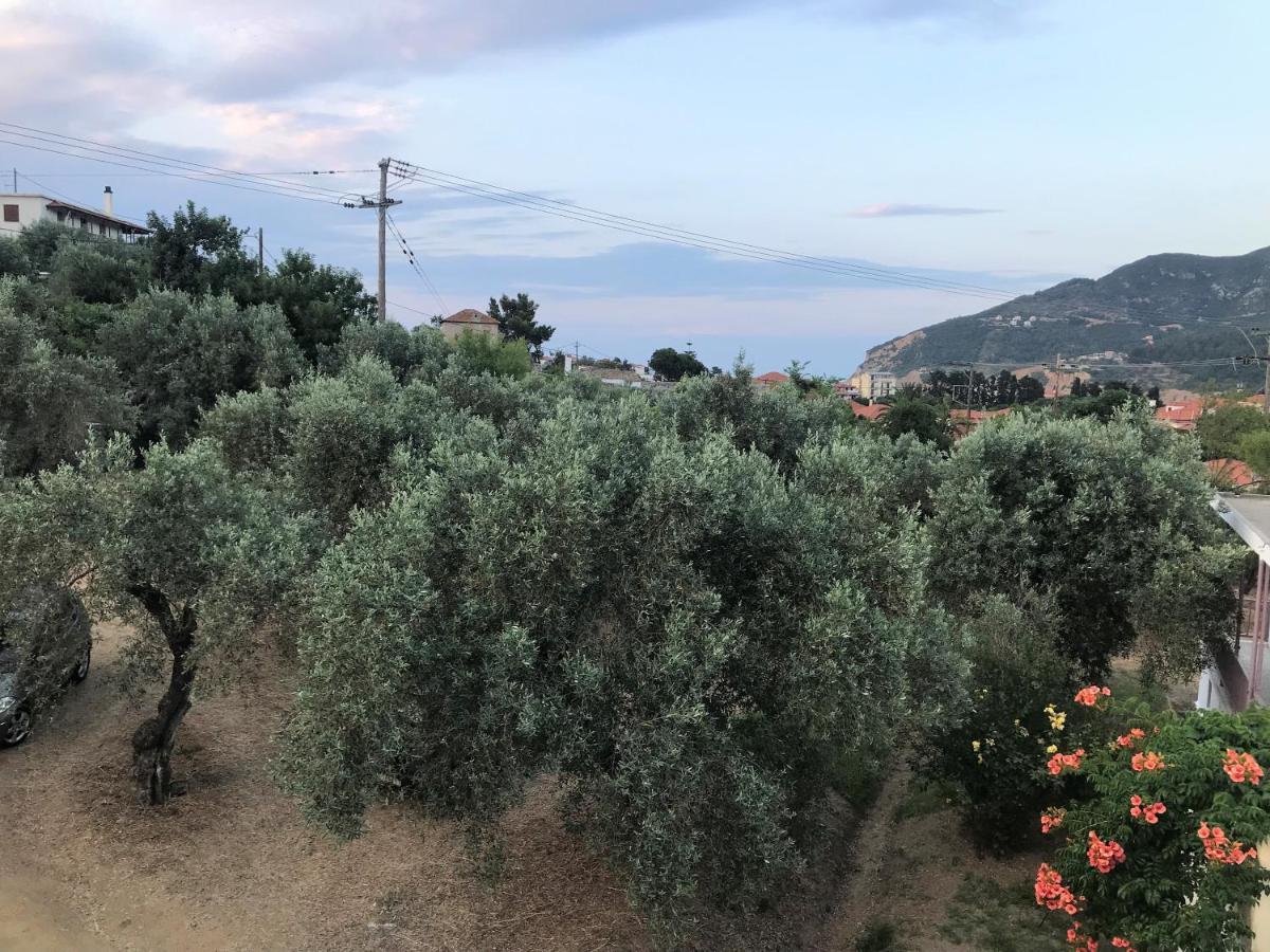 Pansion Episkopi Studios Skopelos Town Ngoại thất bức ảnh