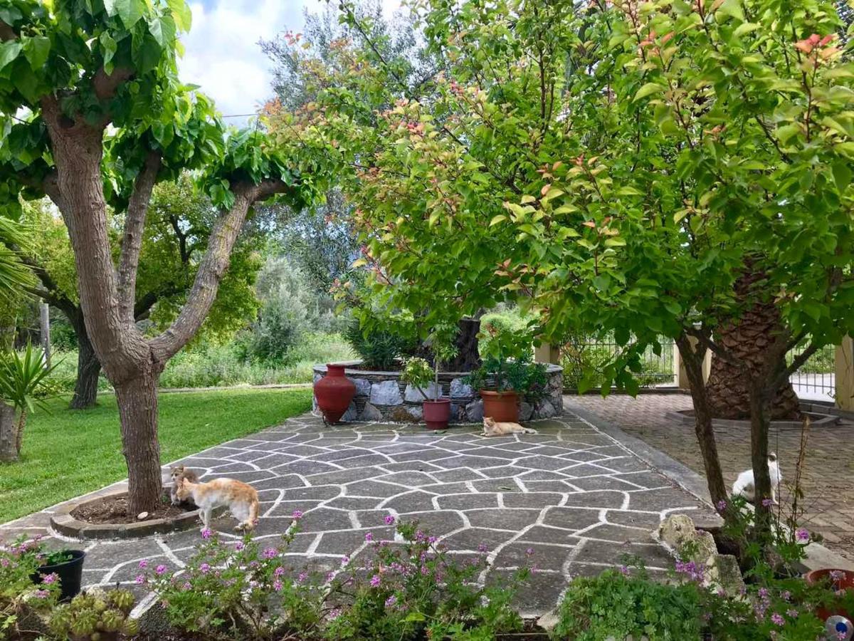 Pansion Episkopi Studios Skopelos Town Ngoại thất bức ảnh