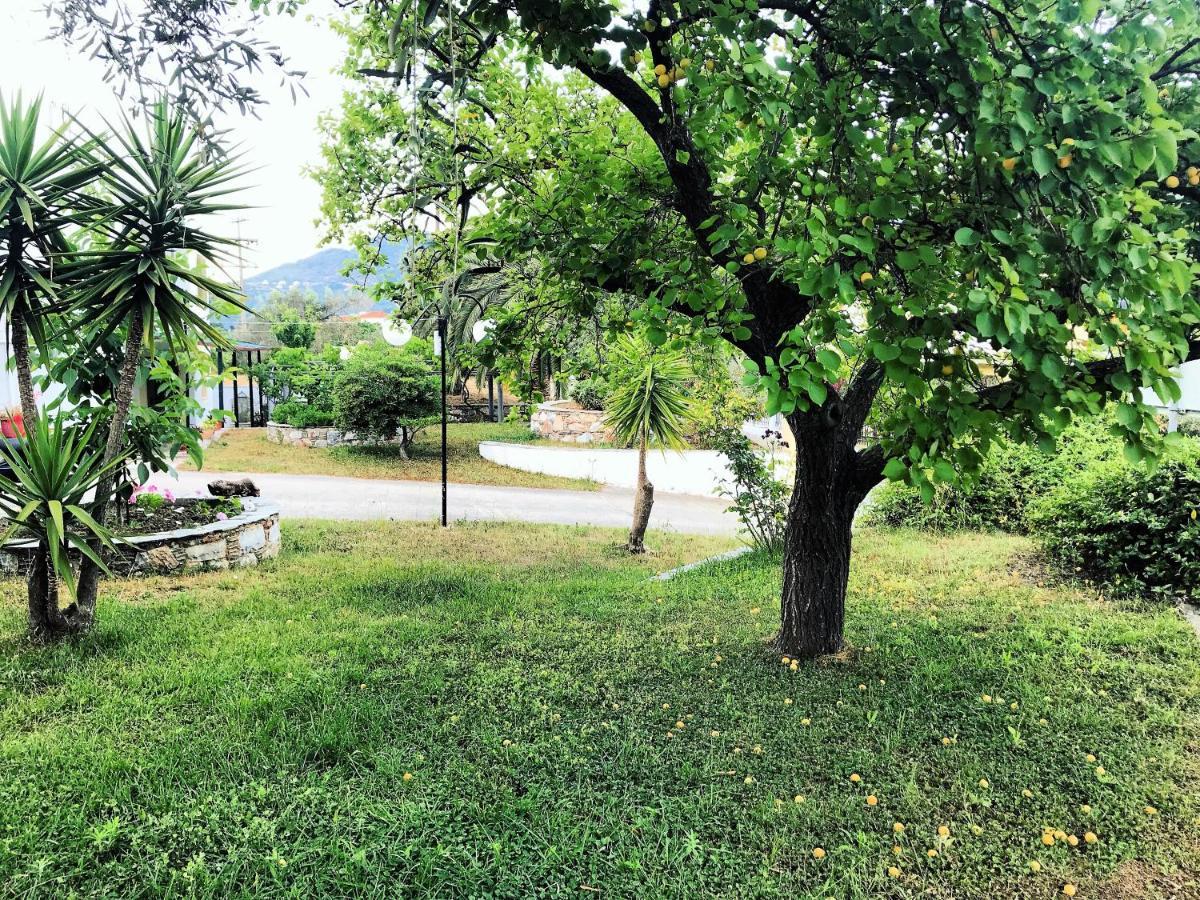 Pansion Episkopi Studios Skopelos Town Ngoại thất bức ảnh