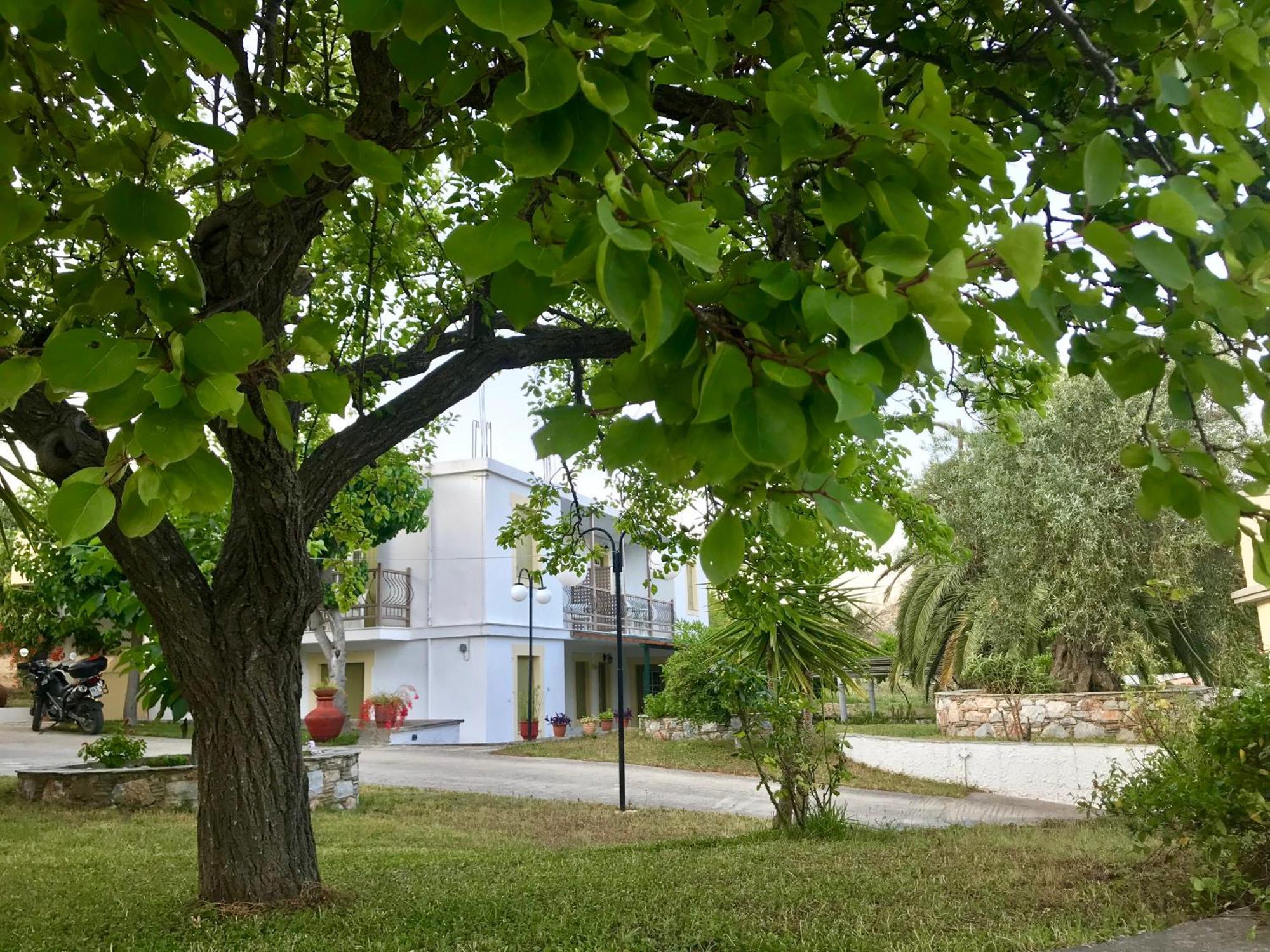 Pansion Episkopi Studios Skopelos Town Ngoại thất bức ảnh